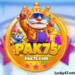PAK75 Game