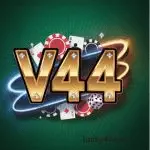 V444 Game